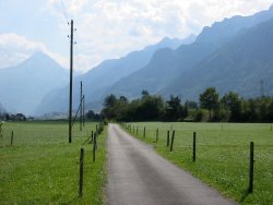 Lane from Fluelen