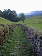 Walled path