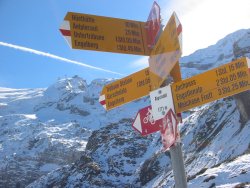 Alpstubli