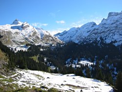 View back to Engstlenalp