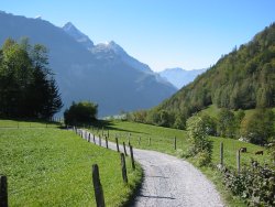 Towards Meiringen