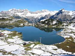 Truebsee