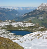 Truebsee