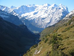 Engelhoerner