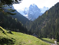 Engelhoerner