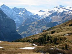 Sefinenfurgge