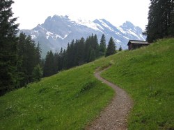 North Face Trail