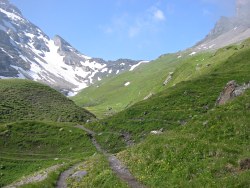 Sefinenfurgge