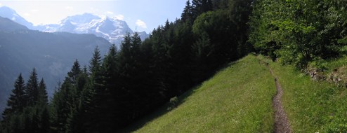 Towards M&uuml;rren