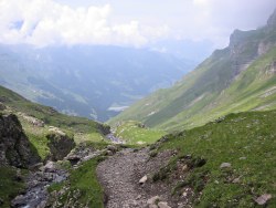 Down the valley