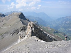 Hohtuerli