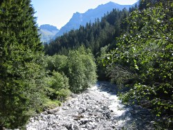 Mountain stream