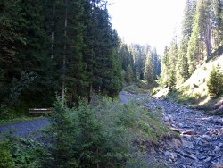 Track alongside stream