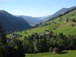 Lenk