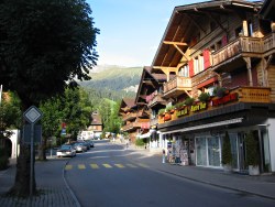 Lenk