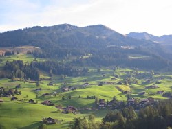 Lenk