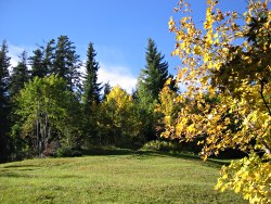 Autumn colours