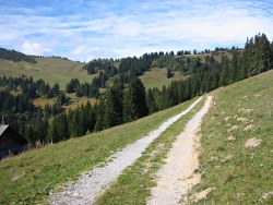 Track towards Blattipass