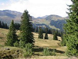 Beyond the pass