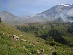 Isenau