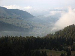 Les Mosses from Oudioux