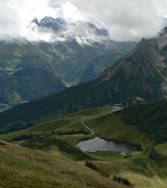 Fellhorn