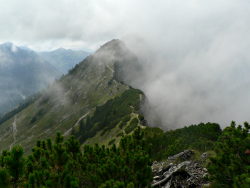 Iseler