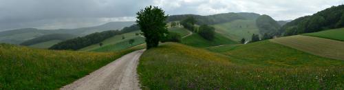 Chillholz