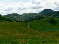 hilly scenery