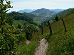 hilly scenery