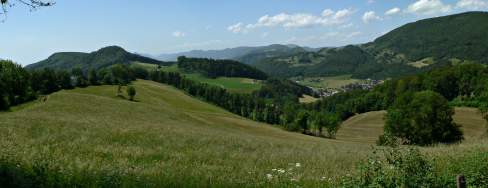 Greenery