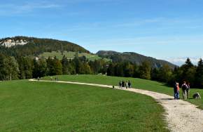 Weissenstein
