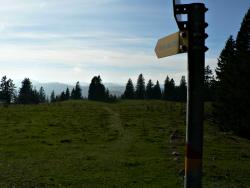 Mont d'Amin