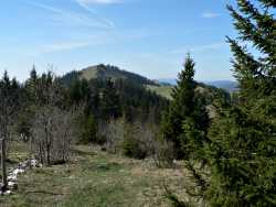 T&ecirc;te de Ran