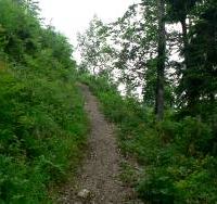 Narrow footpath