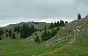 Mont Tendre