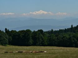 Mont Blanc