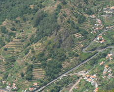 ribiera brava