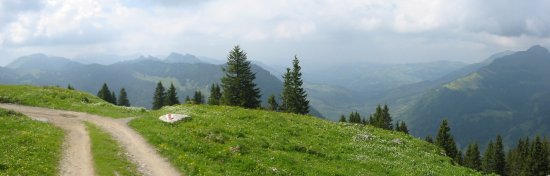 Open panorama