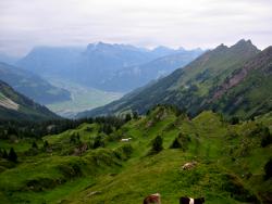 Oberch&auml;seren