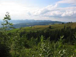 Nearing Tanzboden