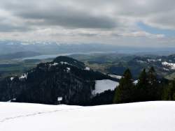 Z&uuml;risee