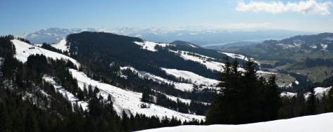 Z&uuml;risee