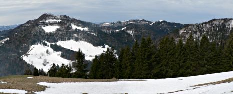 Z&uuml;rcher Oberland