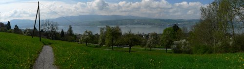 panorama