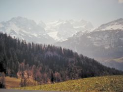 Spring panorama