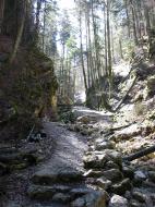 climbing the gorge
