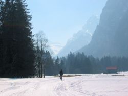snowy trail
