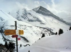immaculate trail