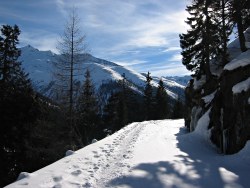 Oberwald